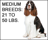 Medium Dog to Human Age Calculator