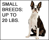 Small Dog to Human Age Calculator